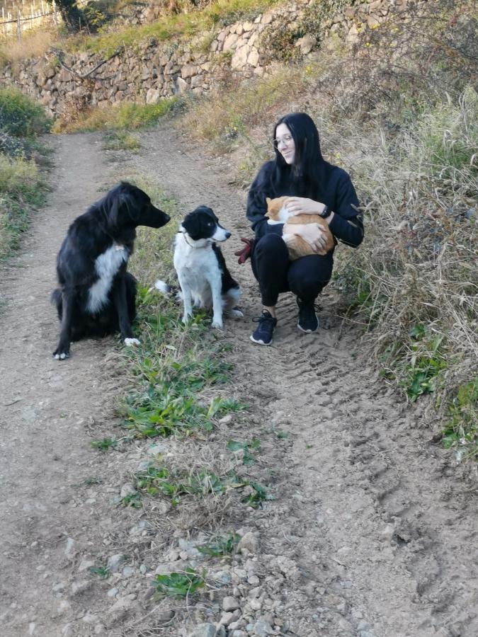 פיה Ausserperskolerhof - Adults Only מראה חיצוני תמונה